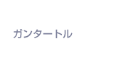 ガンタートル