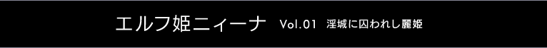 GtPjB[i `Vol.01 ɎꂵP`